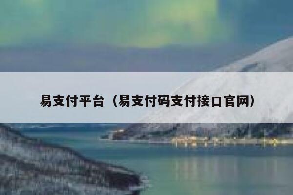 易支付平台（易支付码支付接口官网） 第1张