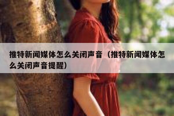 推特新闻媒体怎么关闭声音（推特新闻媒体怎么关闭声音提醒） 第1张