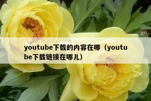 youtube下载的内容在哪（youtube下载链接在哪儿） 第1张