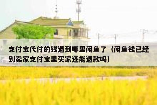 支付宝代付的钱退到哪里闲鱼了（闲鱼钱已经到卖家支付宝里买家还能退款吗） 第1张