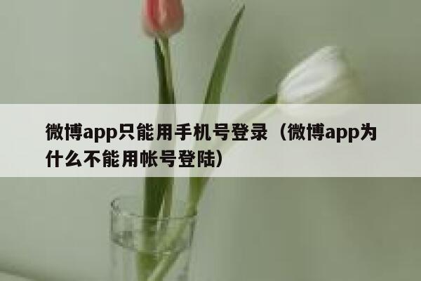 微博app只能用手机号登录（微博app为什么不能用帐号登陆） 第1张