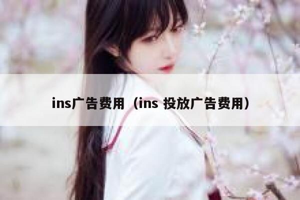 ins广告费用（ins 投放广告费用） 第1张