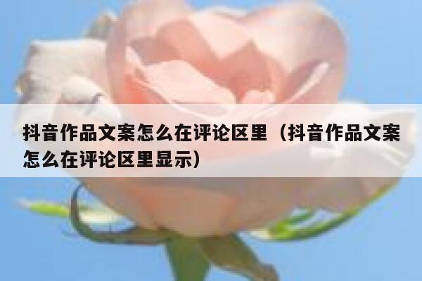抖音作品文案怎么在评论区里（抖音作品文案怎么在评论区里显示） 第1张