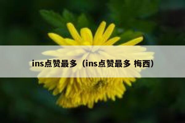ins点赞最多(ins点赞最多 梅西) 第1张 ins点赞最多(ins点赞最多 梅西) 第1张