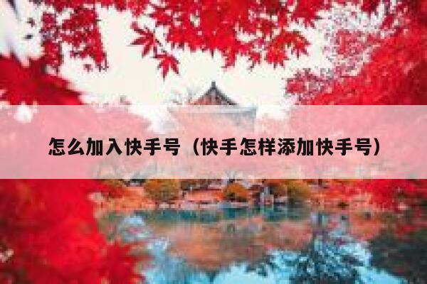 怎么加入快手号（快手怎样添加快手号） 第1张