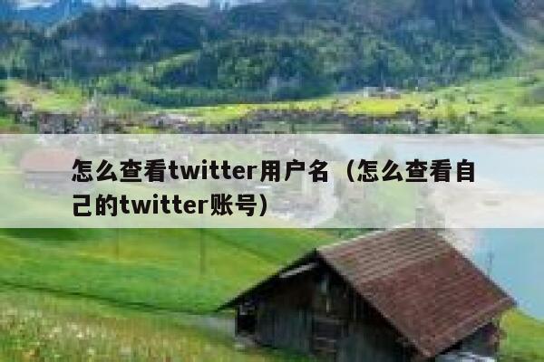 怎么查看twitter用户名(怎么查看自己的twitter账号) 第1张 怎么查看twitter用户名(怎么查看自己的twitter账号) 第1张