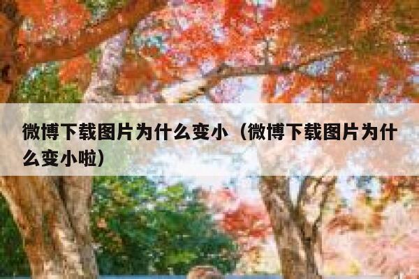 微博下载图片为什么变小(微博下载图片为什么变小啦) 第1张 微博下载图片为什么变小(微博下载图片为什么变小啦) 第1张