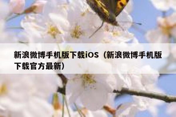 新浪微博手机版下载iOS（新浪微博手机版下载官方最新） 第1张