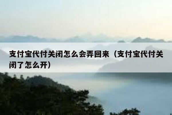 支付宝代付关闭怎么会弄回来（支付宝代付关闭了怎么开） 第1张