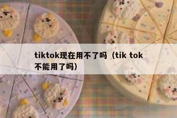tiktok现在用不了吗（tik tok不能用了吗） 第1张