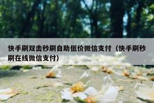 快手刷双击秒刷自助低价微信支付（快手刷秒刷在线微信支付） 第1张