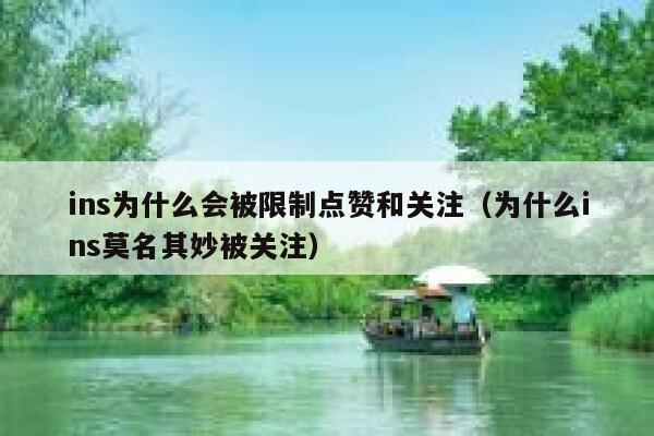 ins为什么会被限制点赞和关注（为什么ins莫名其妙被关注） 第1张