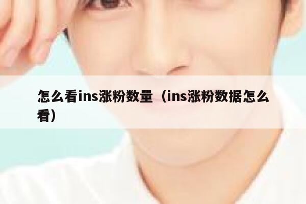 怎么看ins涨粉数量（ins涨粉数据怎么看） 第1张