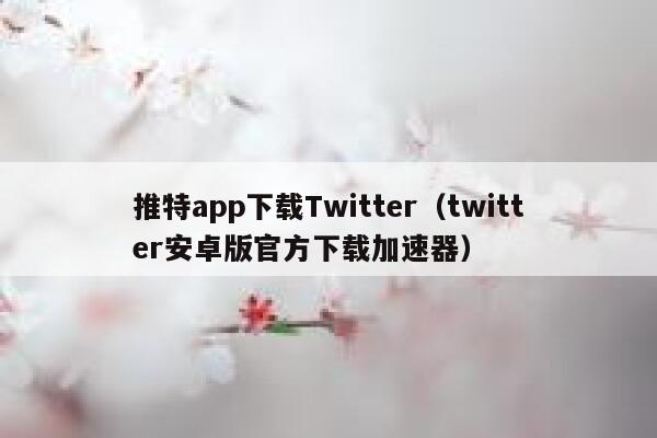 推特app下载Twitter（twitter安卓版官方下载加速器） 第1张