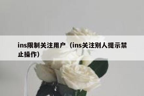 ins限制关注用户（ins关注别人提示禁止操作） 第1张