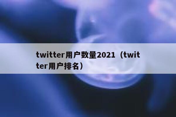 twitter用户数量2021（twitter用户排名） 第1张