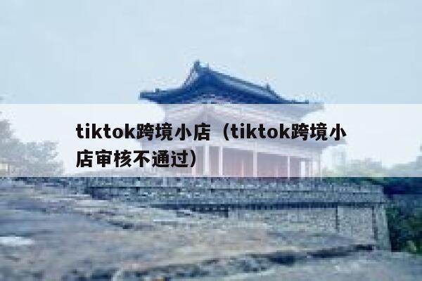 tiktok跨境小店（tiktok跨境小店审核不通过） 第1张