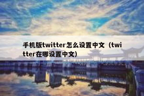 手机版twitter怎么设置中文（twitter在哪设置中文） 第1张