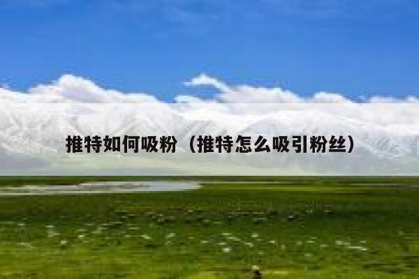 推特如何吸粉（推特怎么吸引粉丝） 第1张