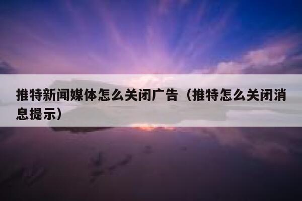 推特新闻媒体怎么关闭广告（推特怎么关闭消息提示） 第1张