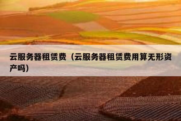 云服务器租赁费（云服务器租赁费用算无形资产吗） 第1张