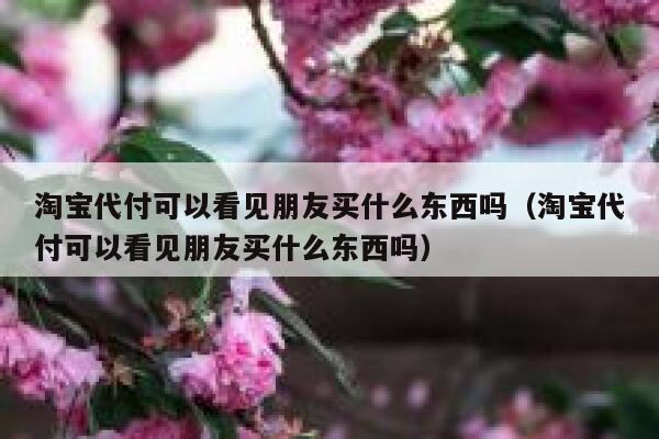 淘宝代付可以看见朋友买什么东西吗（淘宝代付可以看见朋友买什么东西吗） 第1张