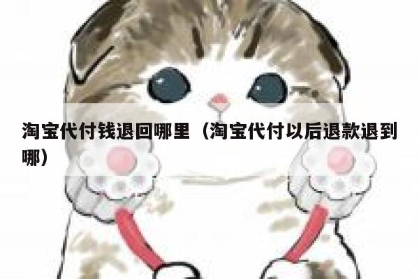 淘宝代付钱退回哪里（淘宝代付以后退款退到哪） 第1张