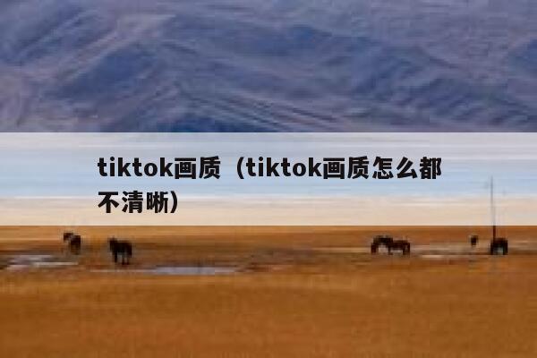 tiktok画质（tiktok画质怎么都不清晰） 第1张