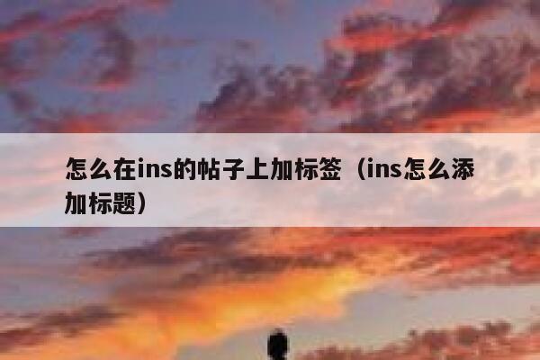 怎么在ins的帖子上加标签（ins怎么添加标题） 第1张