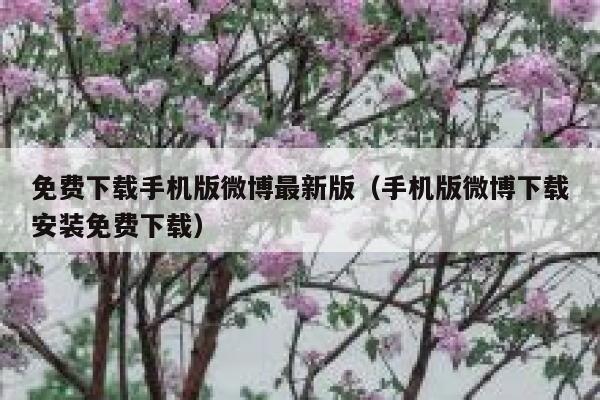 免费下载手机版微博最新版（手机版微博下载安装免费下载） 第1张