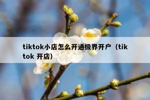 tiktok小店怎么开通极界开户（tiktok 开店） 第1张