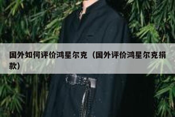国外如何评价鸿星尔克（国外评价鸿星尔克捐款） 第1张