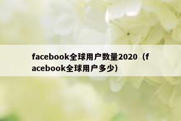 facebook全球用户数量2020（facebook全球用户多少） 第1张
