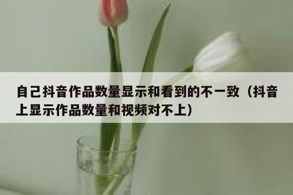 自己抖音作品数量显示和看到的不一致（抖音上显示作品数量和视频对不上） 第1张