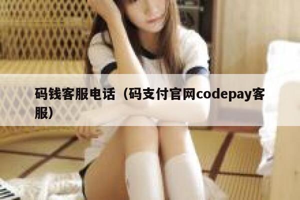码钱客服电话（码支付官网codepay客服） 第1张