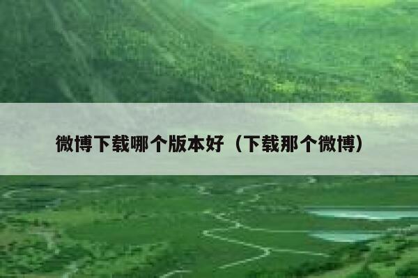 微博下载哪个版本好（下载那个微博） 第1张
