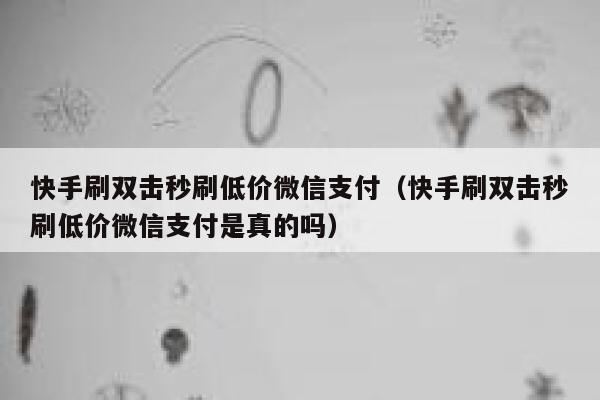 快手刷双击秒刷低价微信支付（快手刷双击秒刷低价微信支付是真的吗） 第1张