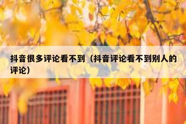 抖音很多评论看不到（抖音评论看不到别人的评论） 第1张