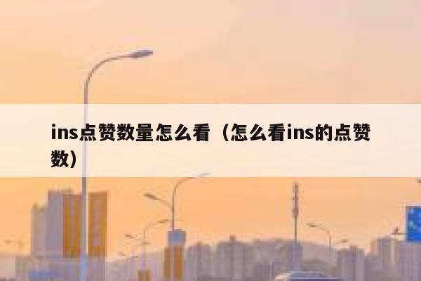 ins点赞数量怎么看（怎么看ins的点赞数） 第1张