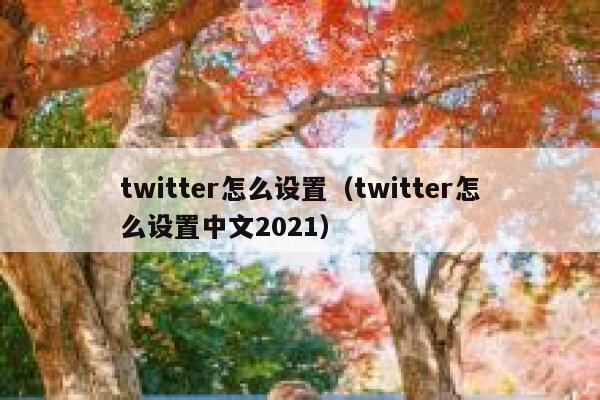 twitter怎么设置（twitter怎么设置中文2021） 第1张