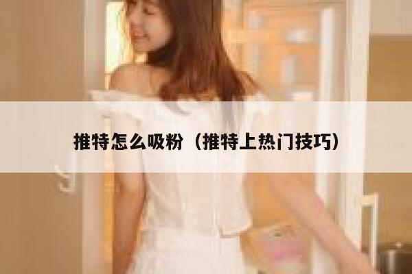 推特怎么吸粉（推特上热门技巧） 第1张