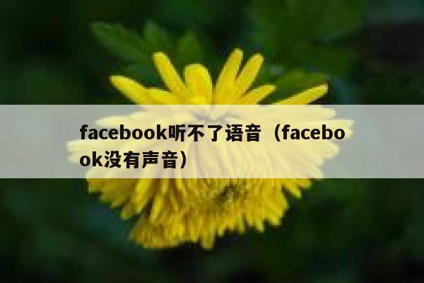 facebook听不了语音（facebook没有声音） 第1张