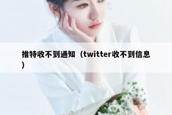 推特收不到通知（twitter收不到信息） 第1张