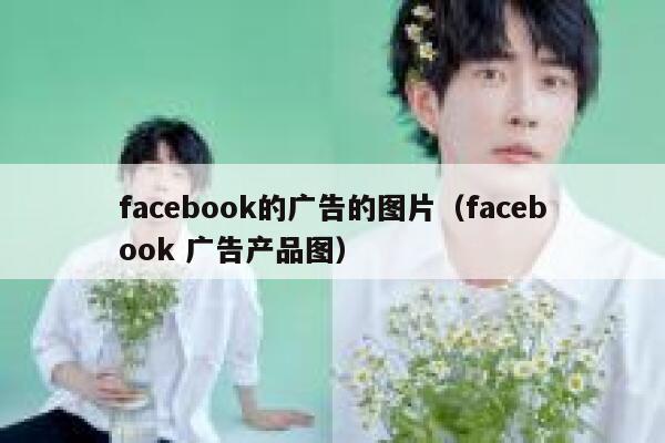 facebook的广告的图片（facebook 广告产品图） 第1张