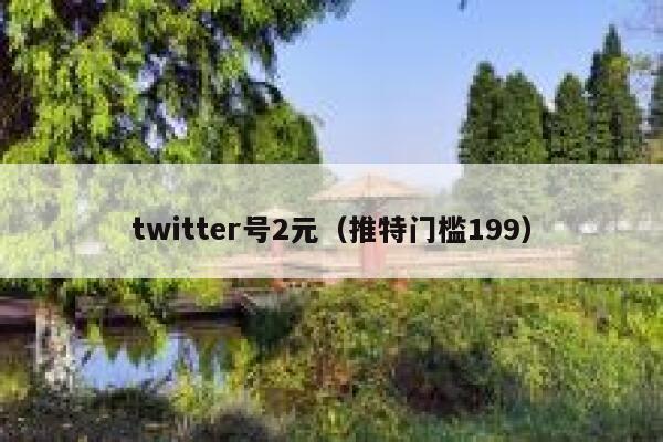 twitter号2元（推特门槛199） 第1张