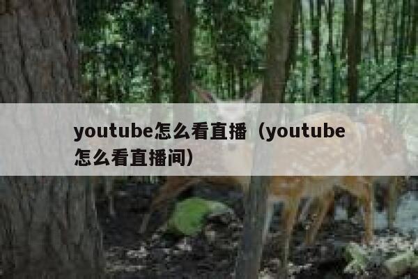 youtube怎么看直播（youtube怎么看直播间） 第1张