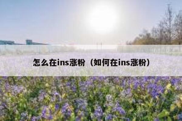 怎么在ins涨粉（如何在ins涨粉） 第1张