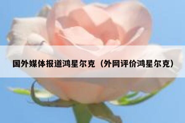 国外媒体报道鸿星尔克（外网评价鸿星尔克） 第1张