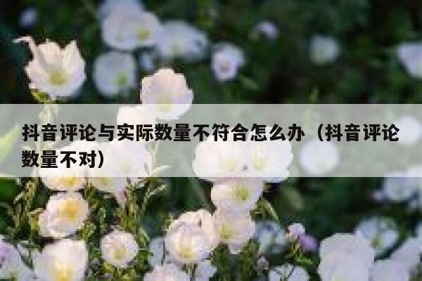 抖音评论与实际数量不符合怎么办（抖音评论数量不对） 第1张