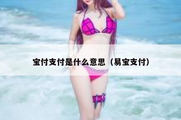 宝付支付是什么意思（易宝支付） 第1张